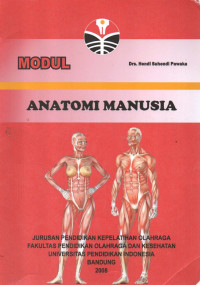Anatomi Manusia